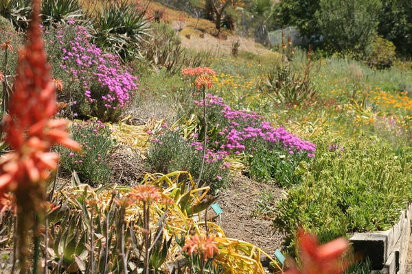 California Center for the Native Nations